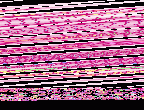 animal_19.gif, 12 KB